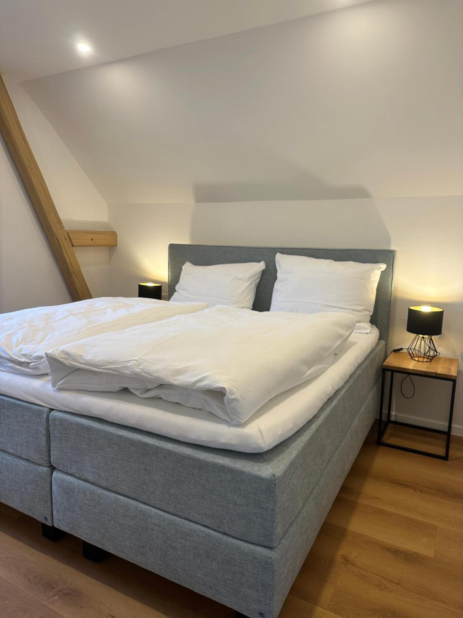Moselappartements By Weingut Marco Adamy Lösnich Exteriör bild