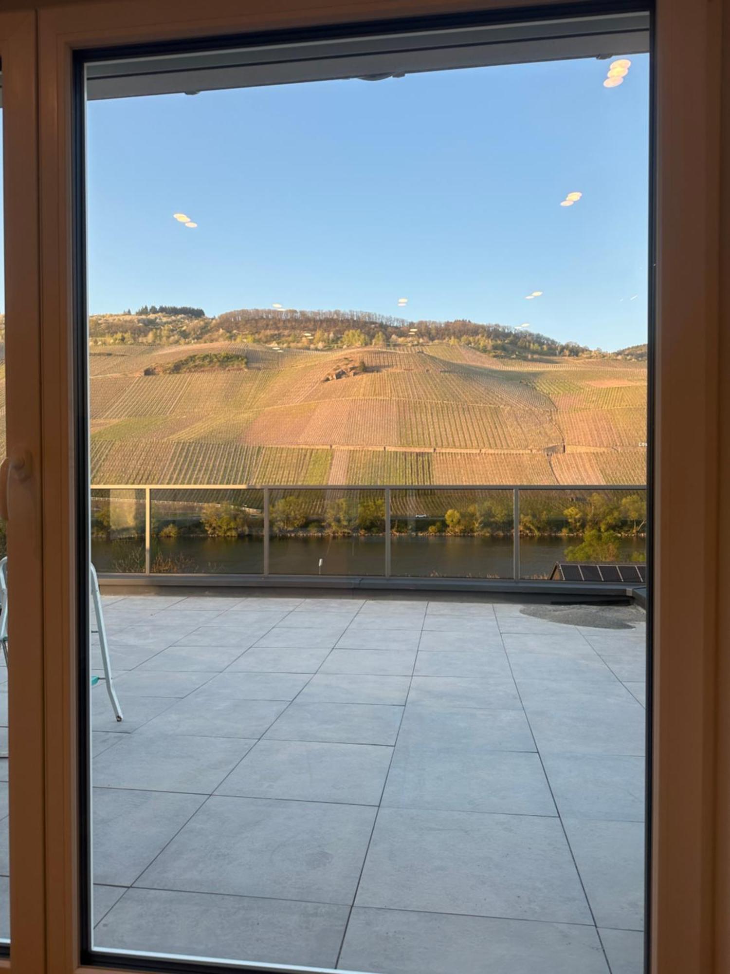 Moselappartements By Weingut Marco Adamy Lösnich Exteriör bild